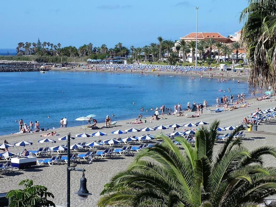 Estudio Cristianos-tenerife- Los Cristianos (Tenerife)
